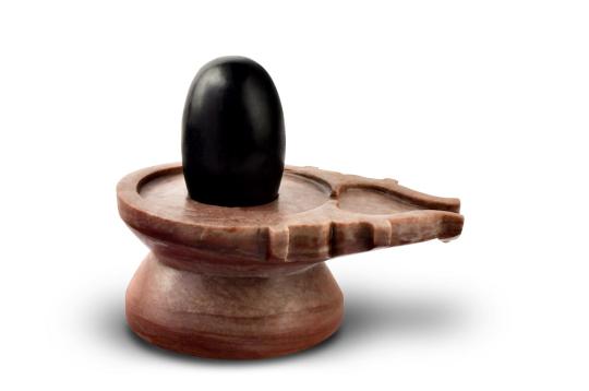 NSL113 Black Shiva Linga from Narmada 1